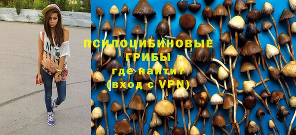 mdpv Армянск