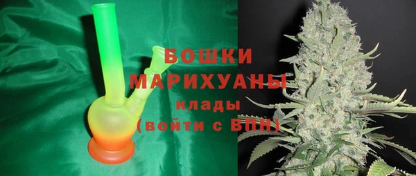 амф Арсеньев
