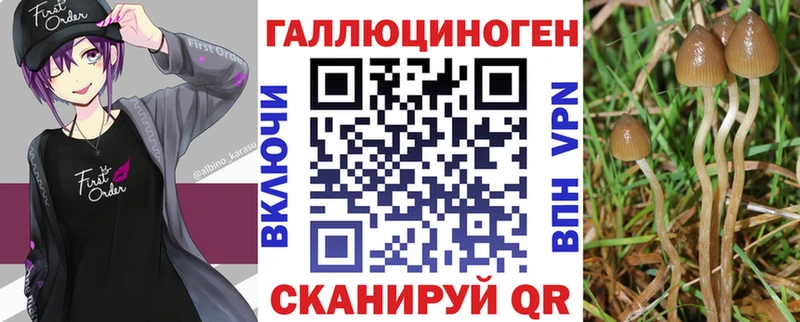 Галлюциногенные грибы GOLDEN TEACHER  купить наркотики сайты  дарк нет какой сайт  Ессентуки 